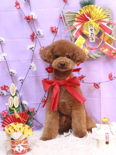 20230129まめくん